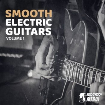 New Beard Media Smooth Electric Guitars Vol 1 WAV-FANTASTiC screenshot