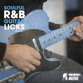 New Beard Media Soulful RnB Guitar Licks Vol 1 WAV-FANTASTiC screenshot