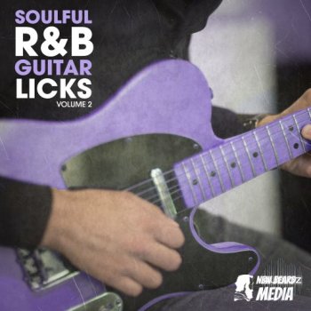 New Beard Media Soulful RnB Guitar Licks Vol 2 WAV-FANTASTiC screenshot