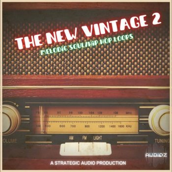 Strategic Audio The New Vintage 2 WAV screenshot