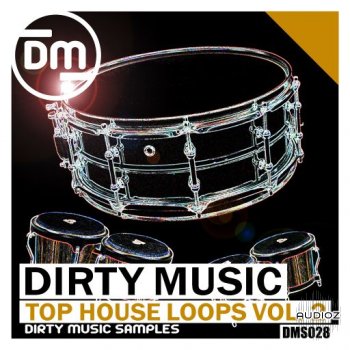 Dirty Music Top House Loops Vol. 2 WAV-FANTASTiC screenshot