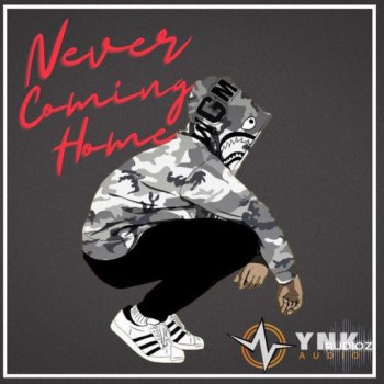 YnK Audio Never Coming Home WAV-FANTASTiC screenshot