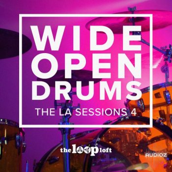 The Loop Loft Wide Open Drums Popcorn Three WAV-UHUB screenshot