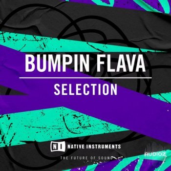 Native Instruments Bumpin Flava Selection WAV-UHUB screenshot