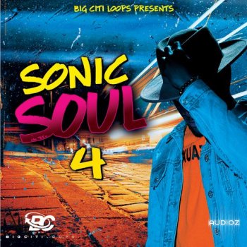 Big Citi Loops Sonic Soul 4 WAV screenshot