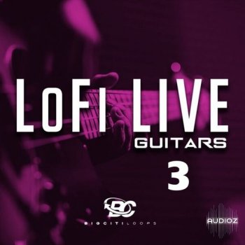 Big Citi Loops Lofi Live Guitars 3 WAV screenshot