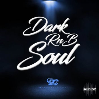 Big Citi Loops Dark RnB Soul WAV-FANTASTiC screenshot