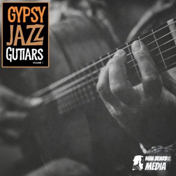 New Beard Media Gypsy Jazz Guitars Vol 1 WAV-FANTASTiC screenshot