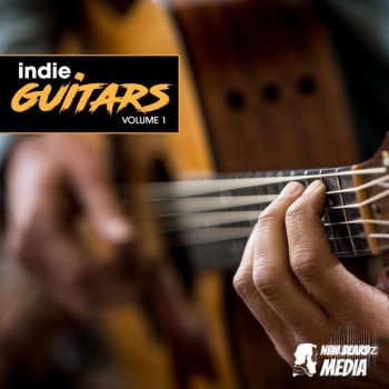 New Beard Media Indie Guitars Vol 1 WAV-FANTASTiC screenshot