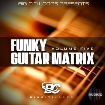 Big Citi Loops Funky Guitar Matrix Vol 5 WAV screenshot