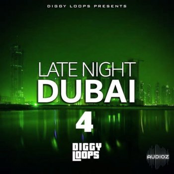 Big Citi Loops Late Night Dubai 4 WAV-FANTASTiC screenshot
