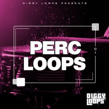 Big Citi Loops Perc Loops WAV-FANTASTiC screenshot