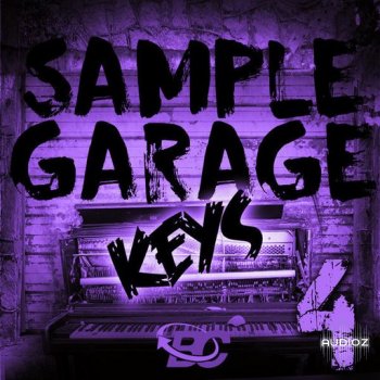 Big Citi Loops Sample Garage Keys 4 WAV-FANTASTiC screenshot