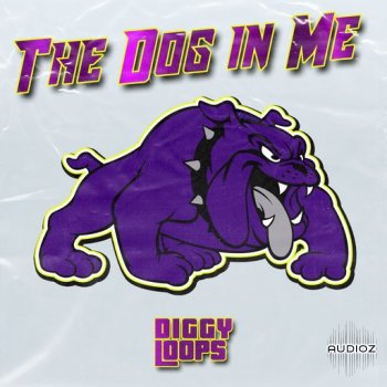Big Citi Loops The Dog In Me WAV-FANTASTiC screenshot