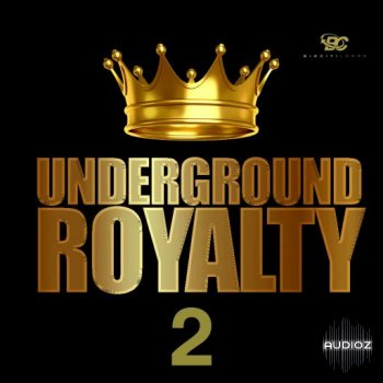 Big Citi Loops Underground Royalty 2 WAV-FANTASTiC screenshot