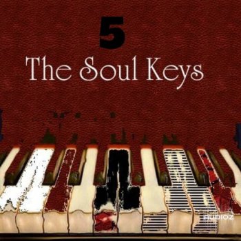 Big Citi Loops The Soul Keys 5 WAV-FANTASTiC screenshot