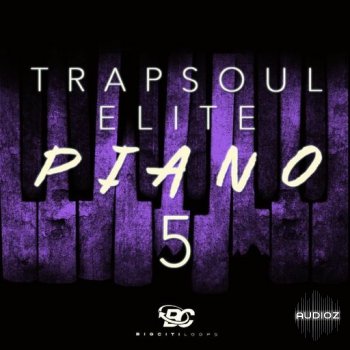 Big Citi Loops Trapsoul Elite Piano 5 WAV-FANTASTiC screenshot