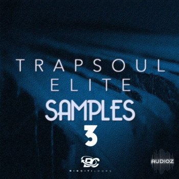 Big Citi Loops Trapsoul Elite Samples 3 WAV-FANTASTiC screenshot