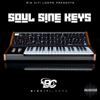 Download Big Citi Loops Soul Sine Keys WAV » AudioZ