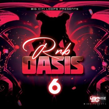 Big Citi Loops RnB Oasis 6 WAV-FANTASTiC screenshot