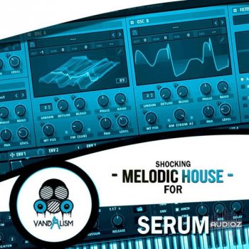 Vandalism Shocking Melodic House For Serum WAV FXP-DECiBEL screenshot