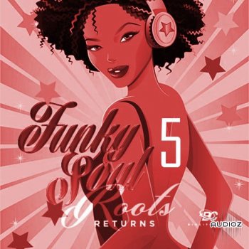 Big Citi Loops Funky Soul Returns Part 5 WAV screenshot