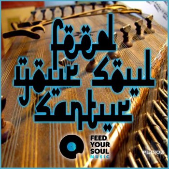Feed Your Soul Music Santur WAV-FANTASTiC screenshot