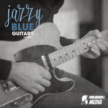 New Beard Media Jazzy Blue Guitars Vol 1 WAV-FANTASTiC screenshot