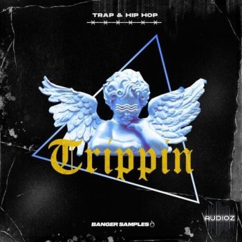 Banger Samples Trippin WAV RX2-DECiBEL screenshot