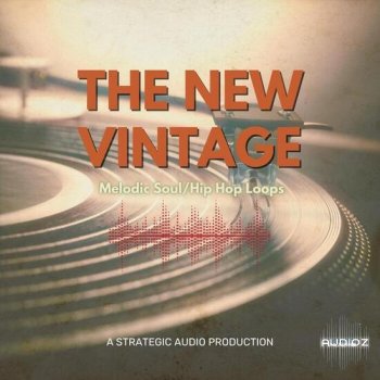 Strategic Audio The New Vintage WAV-DECiBEL screenshot