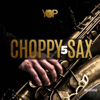 Big Citi Loops Choppy Sax 5 WAV-FANTASTiC screenshot