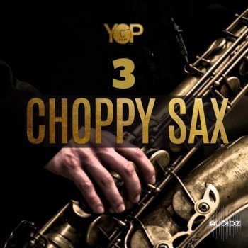 Big Citi Loops Choppy Sax 3 WAV-FANTASTiC screenshot