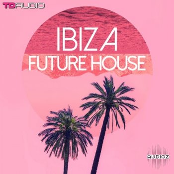 Industrial Strength TD Audio Ibiza Future House WAV-FANTASTiC screenshot
