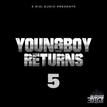 3Digi Audio YungBoy Returns 5 WAV screenshot