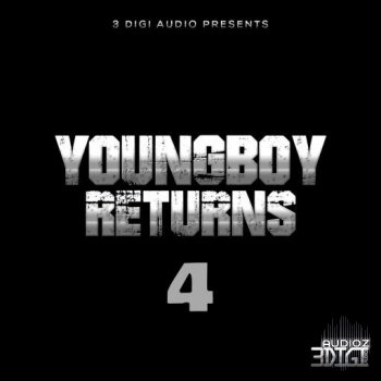 3Digi Audio YungBoy Returns 4 WAV screenshot