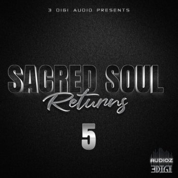 3Digi Audio Sacred Soul Returns 5 WAV screenshot