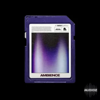 WavSupply Bryceunknwn Ambience (Loop Kit) WAV-FANTASTiC screenshot