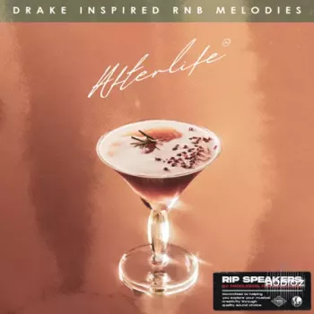 Rip Speakers Afterlife: Drake Inspired RnB Melodies WAV-FANTASTiC screenshot