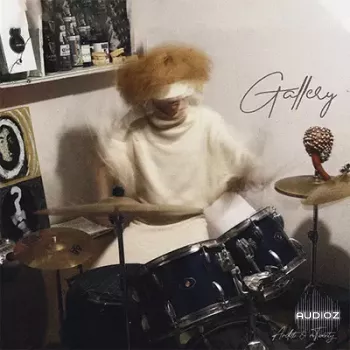 REQ: Gallery Drumkit recorded by Ardist & mTwenty screenshot