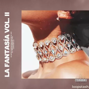 KXVI La Fantasía Loop Kit Vol. II MP3-TECHNiA screenshot