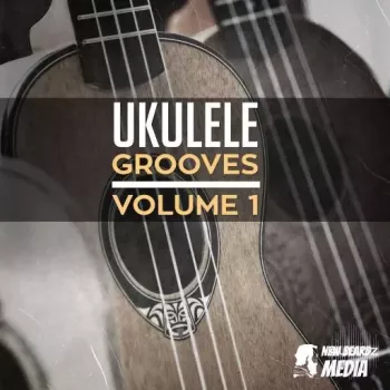 New Beard Media Ukulele Grooves Volume 1 WAV-FANTASTiC screenshot