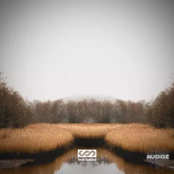 Soul Surplus Deep Marsh (Drum Kit) WAV screenshot