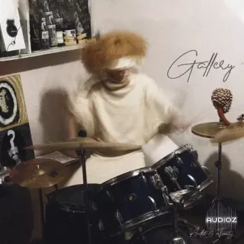 Ardist & mTwenty Gallery Drumkit WAV-TECHNiA screenshot