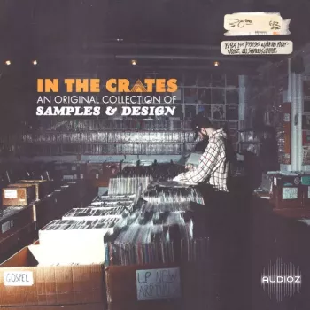 Polyphonic Music Library In The Crates WAV screenshot