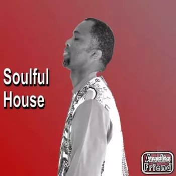 AudioFriend Soulful House WAV-FANTASTiC screenshot