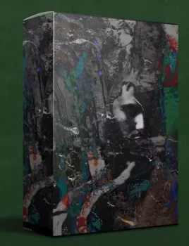 BeldonDidThat JUSTVIBES! (Sample Pack) WAV screenshot