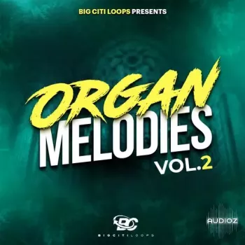Big Citi Loops Organ Melodies Vol 2 WAV-FANTASTiC screenshot