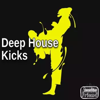 AudioFriend Deep House Kicks WAV-FANTASTiC screenshot