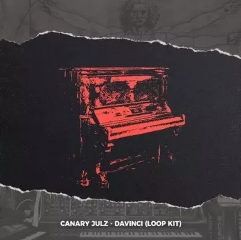 Canary Julz Davinci (Loop Kit) WAV screenshot