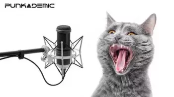 Punkademic Ear Training & Aural Skills, Part 2: Intervals TUTORiAL(updated 4/2022) screenshot